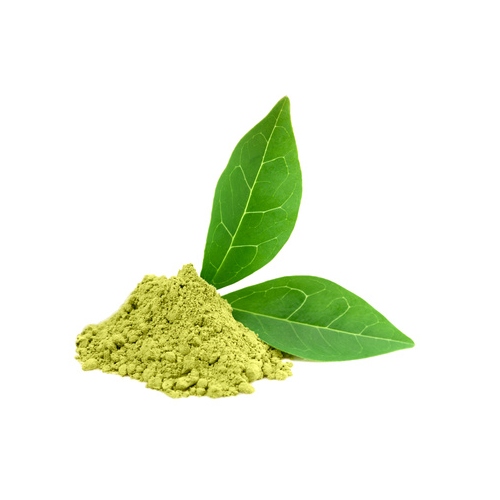 Green Tea Extract image number null