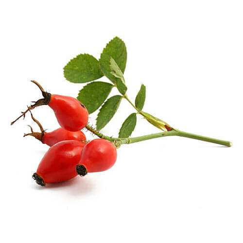 Rose Hip Oil image number 2