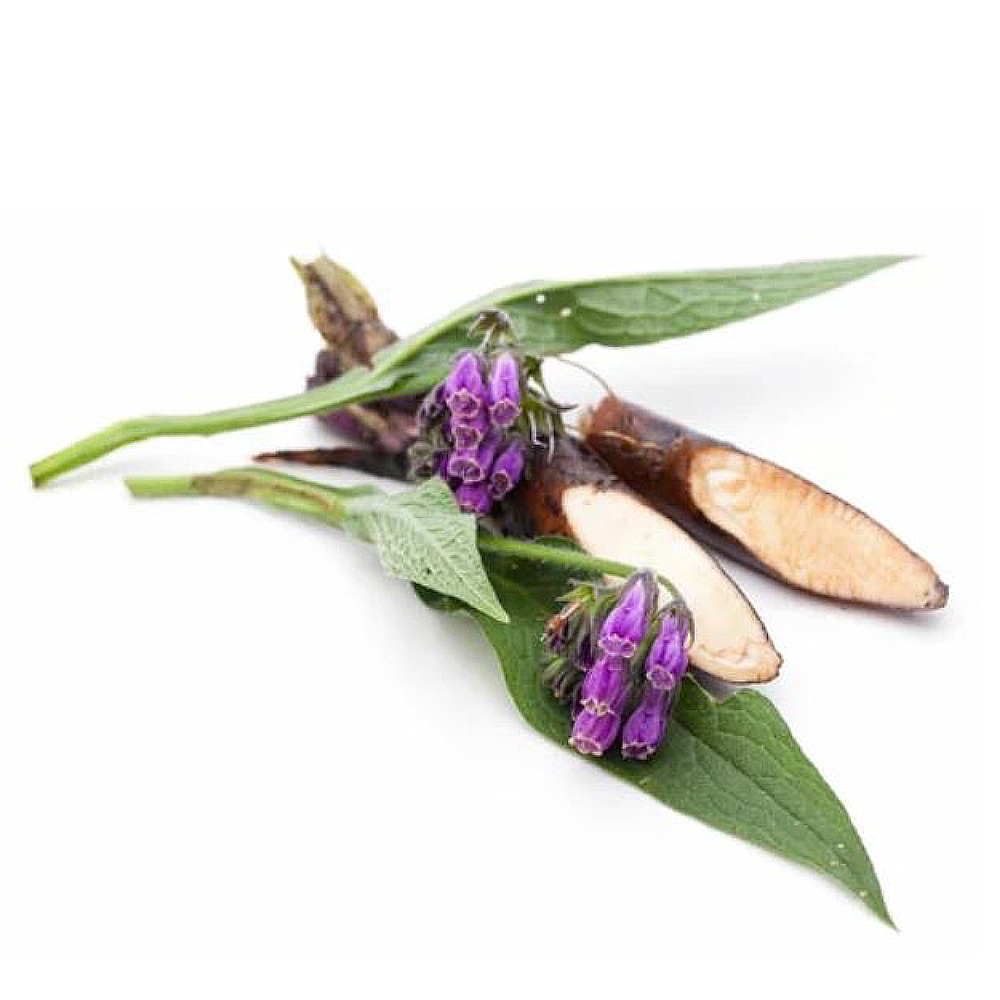 Comfrey Root Extract image number 2