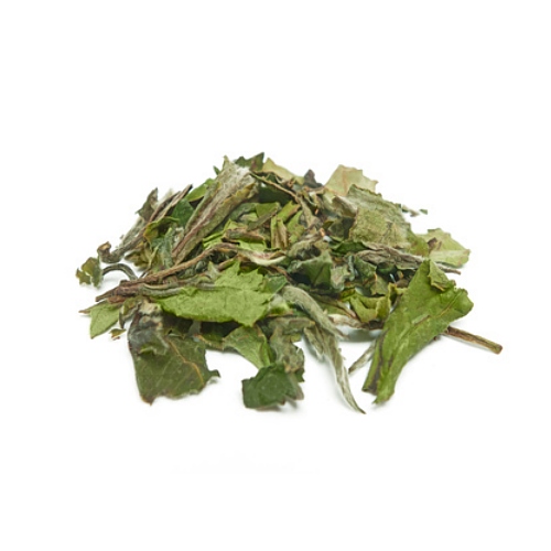 White Tea Extract - Water Soluble - Wholesale Supplies Plus