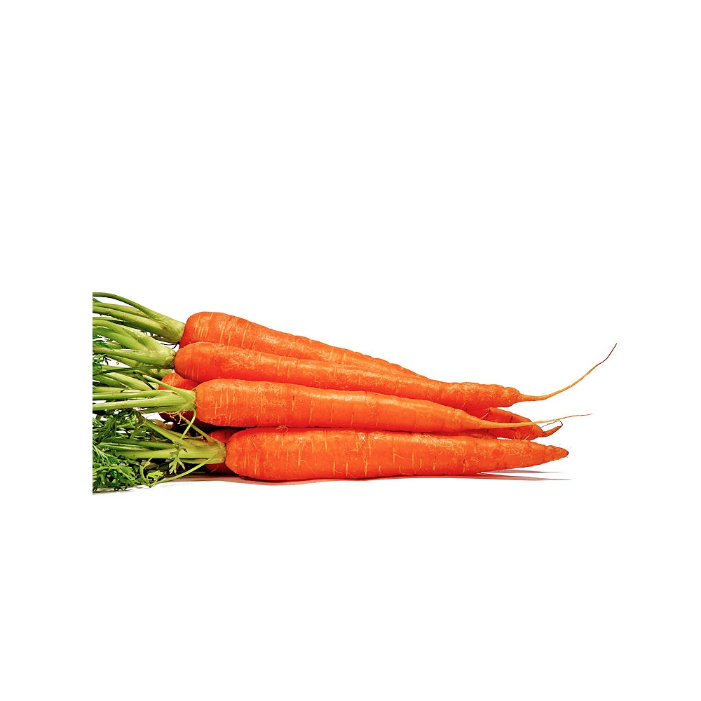 Carrot Oil & Beta-Carotene image number 2