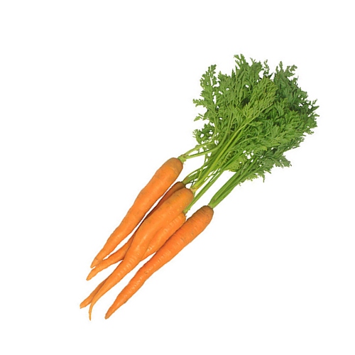 Carrot Cells image number 2