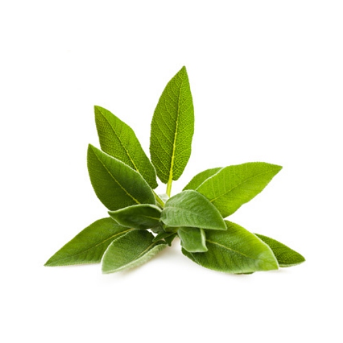 Sage Extract image number null