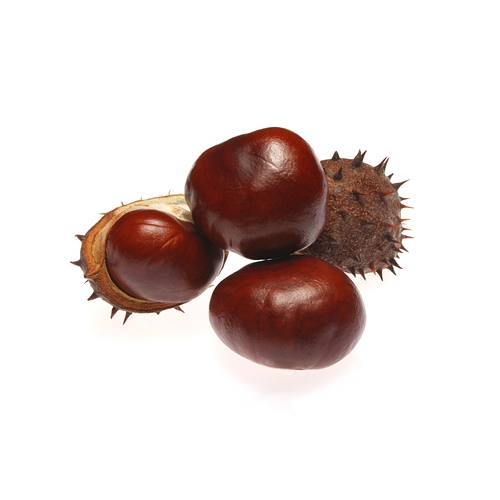 Horse Chestnut Extract image number 2