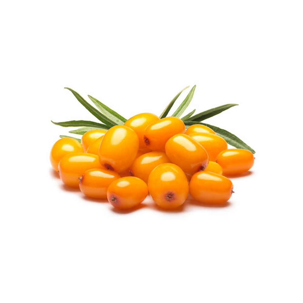 Sea Buckthorn Extract image number 2